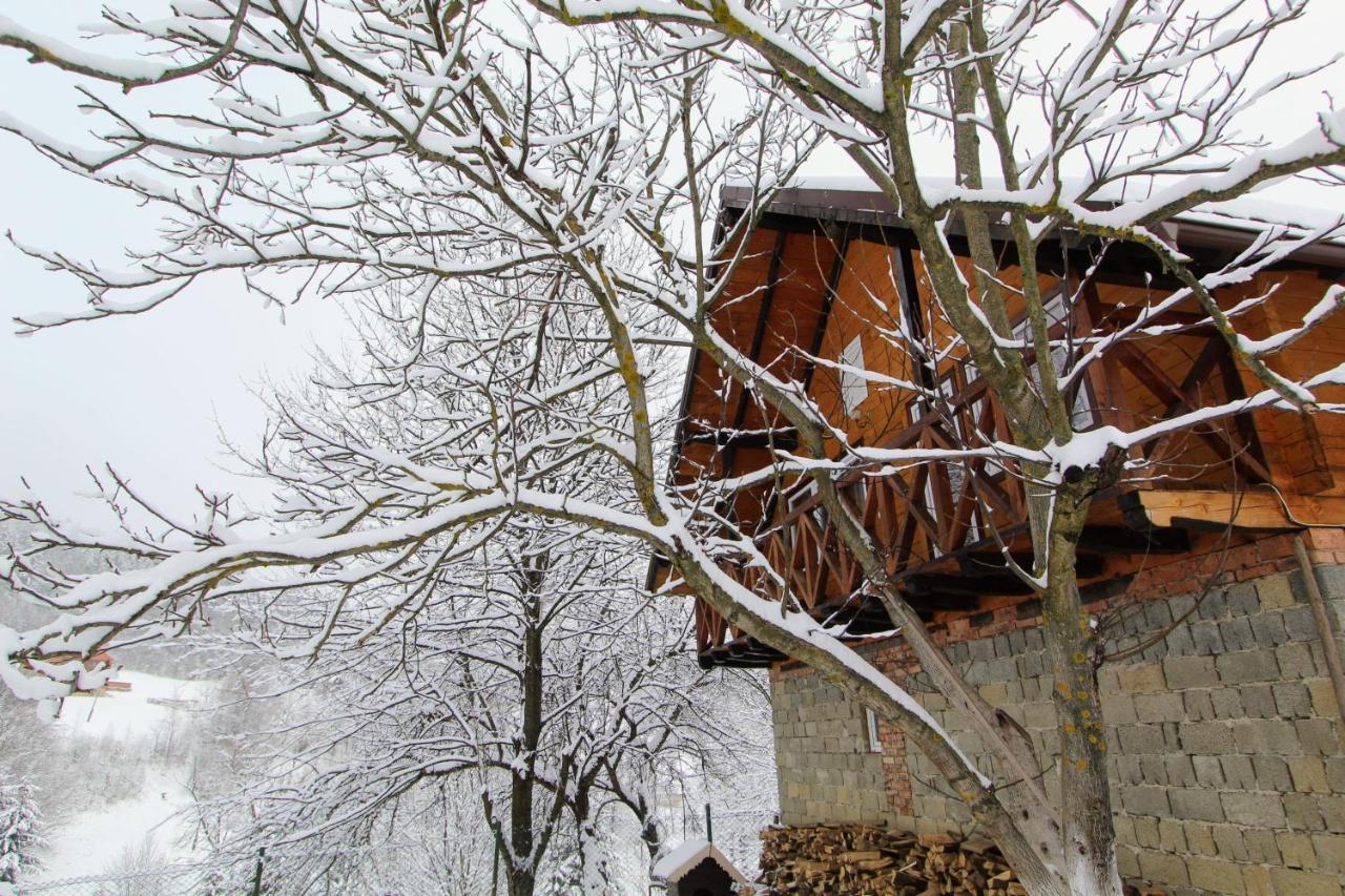 Багрівчанка Apartment Yaremche Bagian luar foto