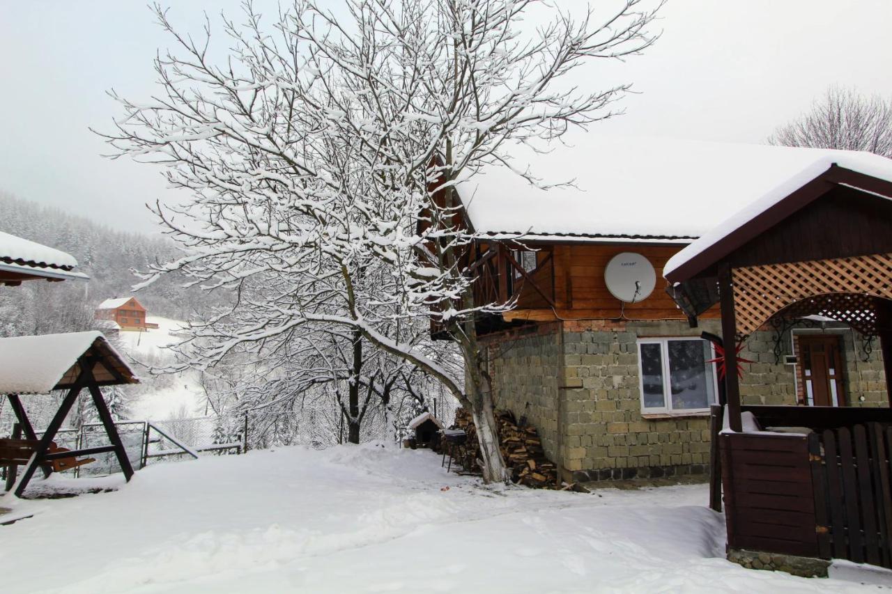 Багрівчанка Apartment Yaremche Bagian luar foto